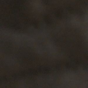 Meet your Posher, Mitch